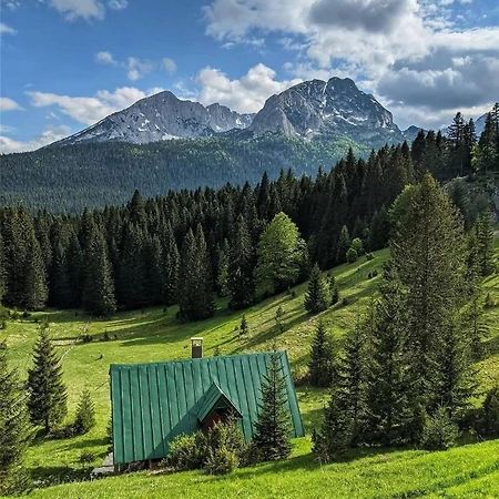 Magic Mountain Villa Žabljak Eksteriør bilde
