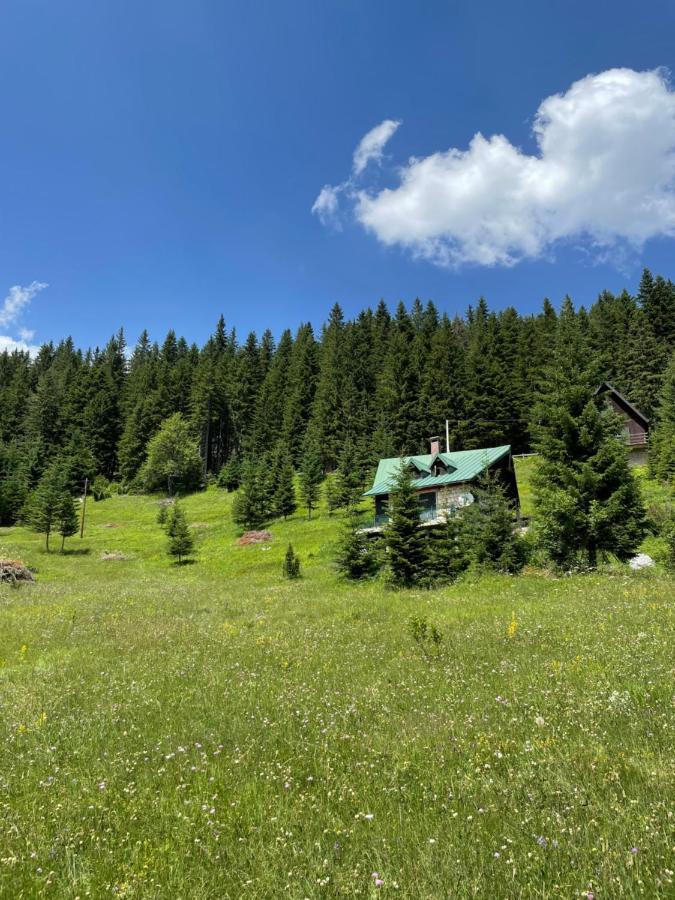 Magic Mountain Villa Žabljak Eksteriør bilde