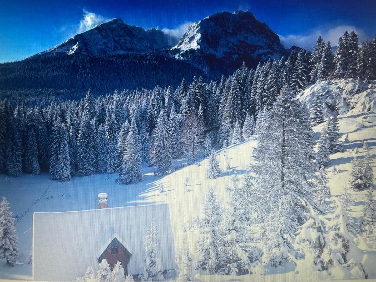 Magic Mountain Villa Žabljak Eksteriør bilde