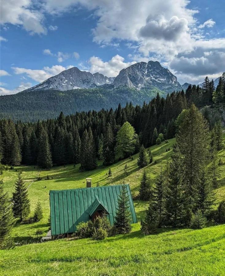 Magic Mountain Villa Žabljak Eksteriør bilde