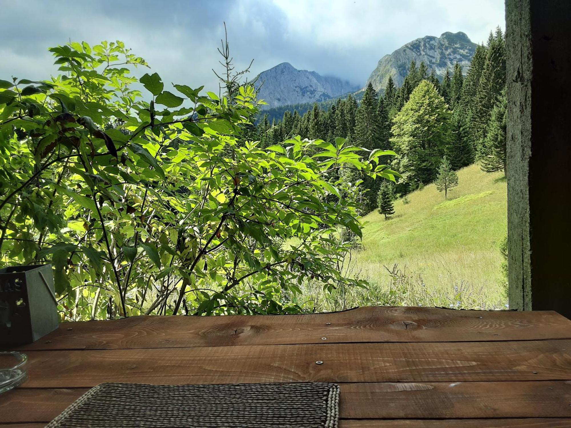 Magic Mountain Villa Žabljak Eksteriør bilde
